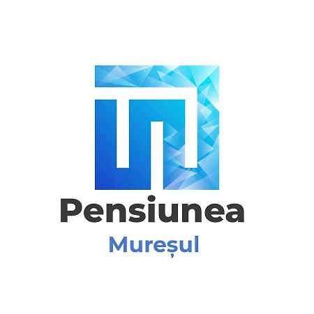 Pensiunea Muresul Тыргу-Муреш Экстерьер фото